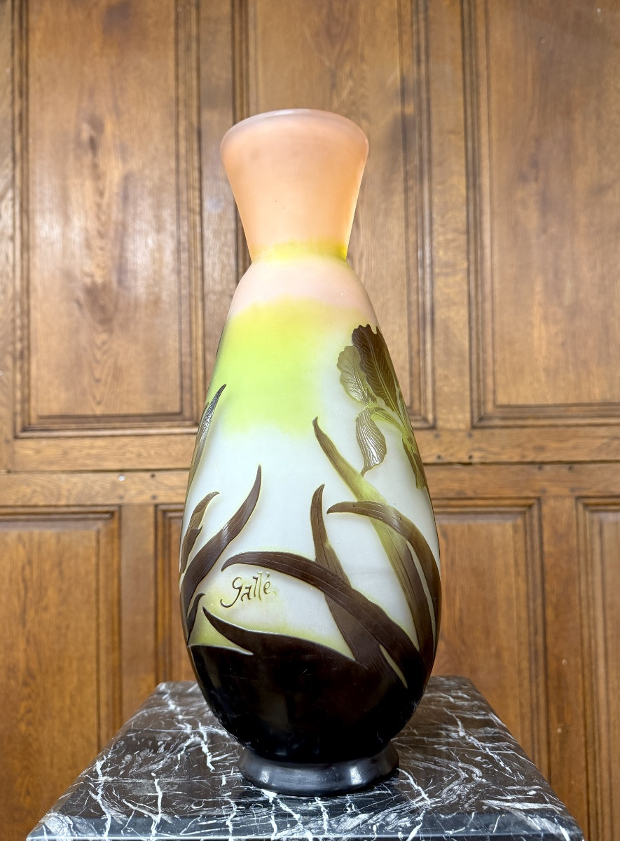 émile Gallé - Large Vase With Marsh Irises In Multi-layered Glass. Art Nouveau Period-photo-3