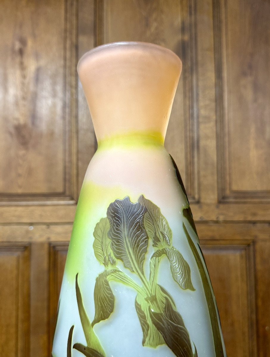 émile Gallé - Large Vase With Marsh Irises In Multi-layered Glass. Art Nouveau Period-photo-5