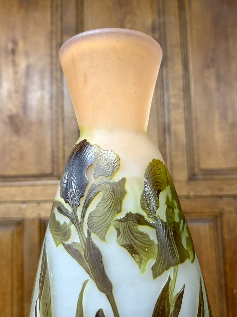 émile Gallé - Large Vase With Marsh Irises In Multi-layered Glass. Art Nouveau Period-photo-6