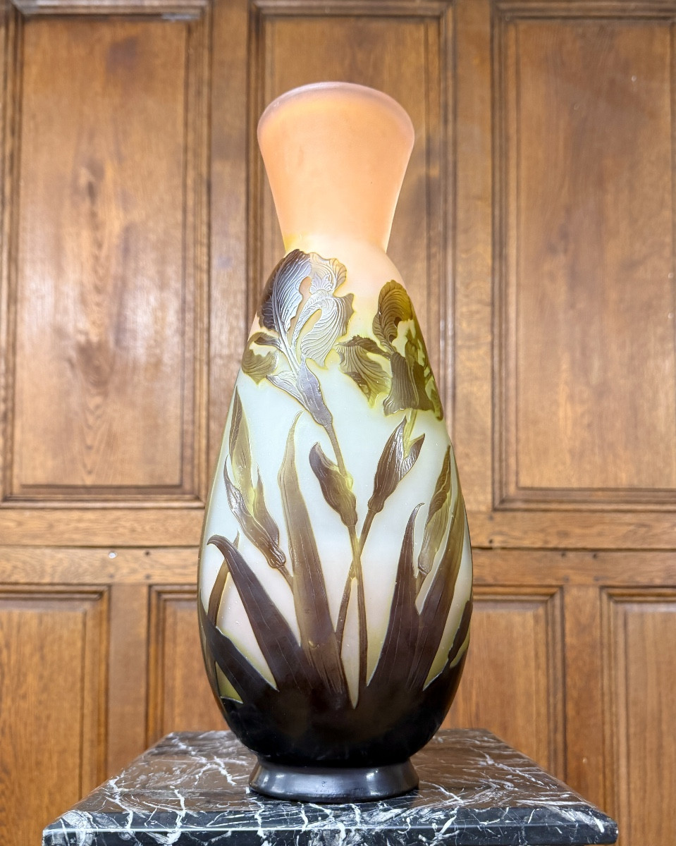 émile Gallé - Large Vase With Marsh Irises In Multi-layered Glass. Art Nouveau Period