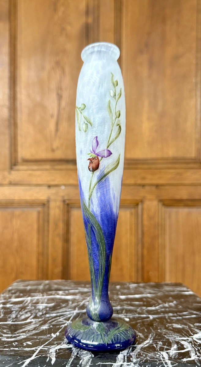 Daum Nancy - rare vase aux toiles d’araignées et orchidées. Époque Art nouveau-photo-2