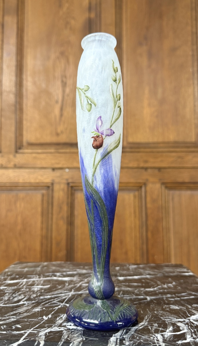 Daum Nancy - rare vase aux toiles d’araignées et orchidées. Époque Art nouveau