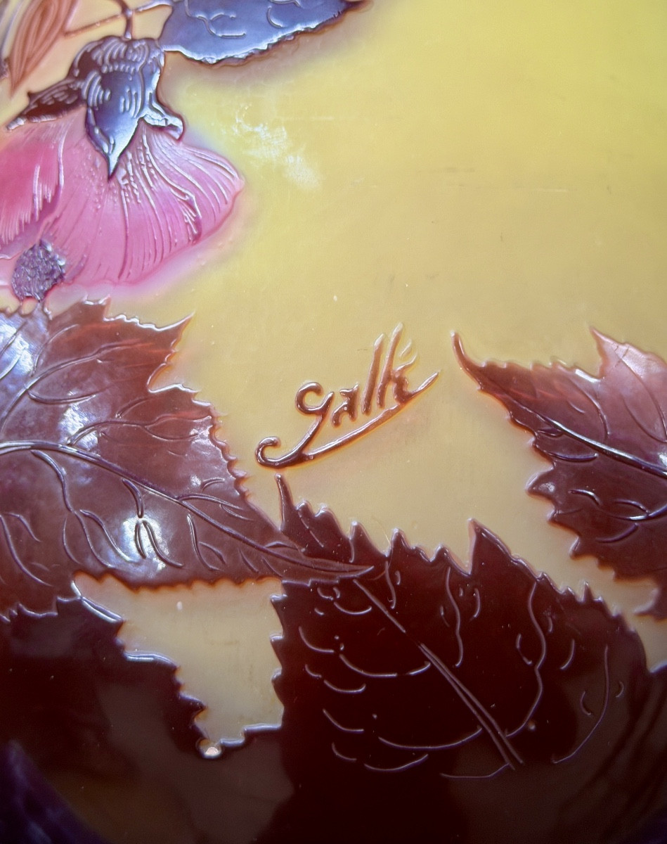 émile Gallé - Important Pear-shaped Vase Decorated With Abutilons, Art Nouveau-photo-4
