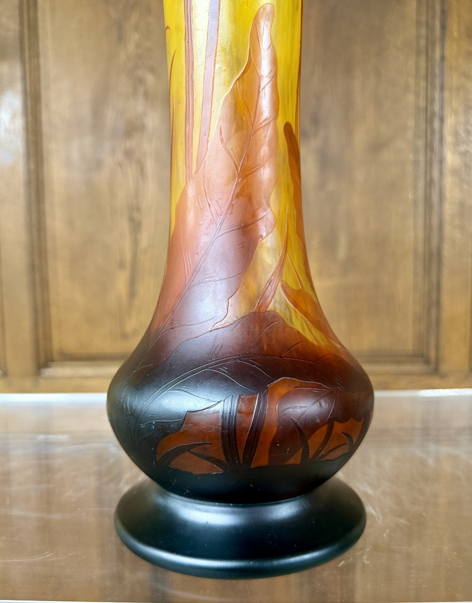 Daum Nancy - important vase à décor de fleurs de tabac. Époque Art Nouveau-photo-1