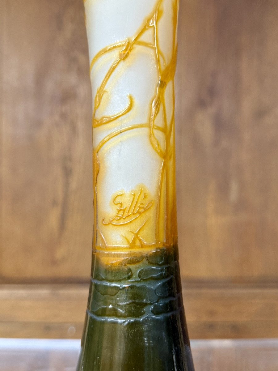 émile Gallé - Beautiful Diabolo Vase With Dragonfly. Art Nouveau Period-photo-3