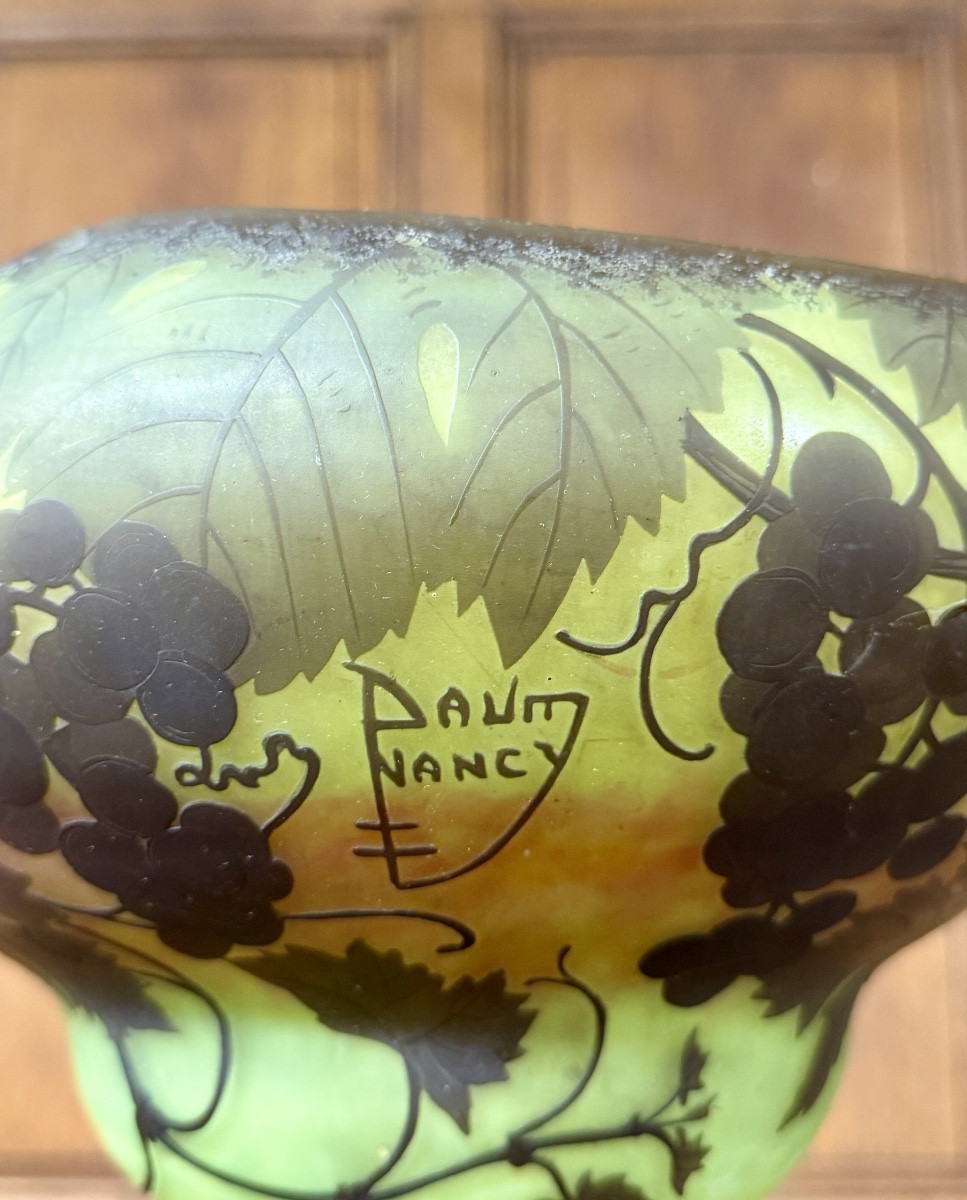 Daum Nancy - grande coupe polylobée aux vignes. Époque Art Nouveau -photo-4