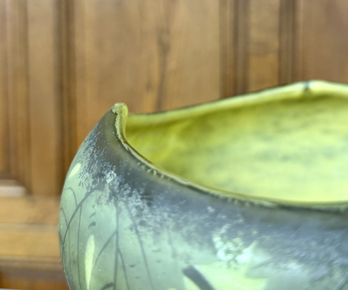 Daum Nancy - grande coupe polylobée aux vignes. Époque Art Nouveau -photo-1