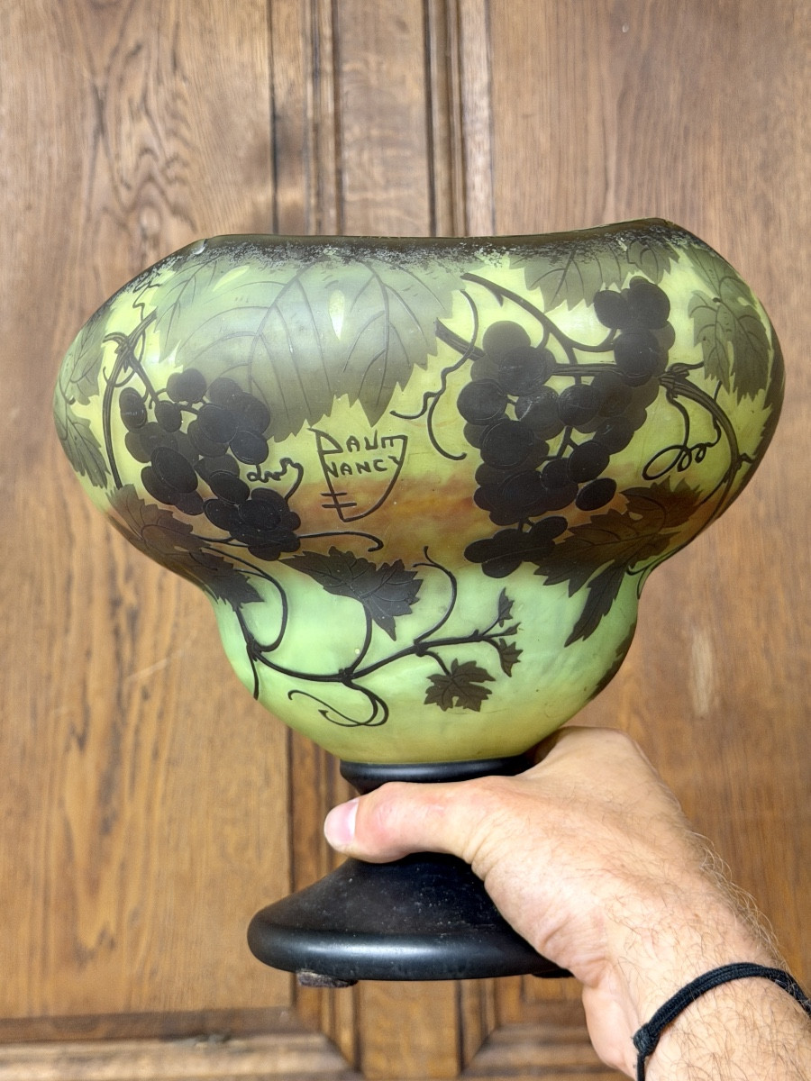 Daum Nancy - grande coupe polylobée aux vignes. Époque Art Nouveau -photo-6