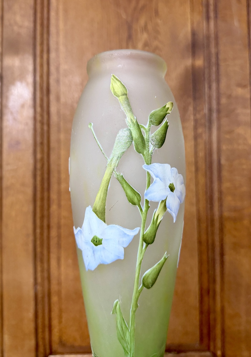 Daum Nancy - grand vase « nicotiana » d’époque Art Nouveau. -photo-5