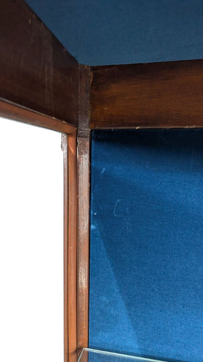 Paire de grandes vitrine d'exposition de style Louis XVI .-photo-7