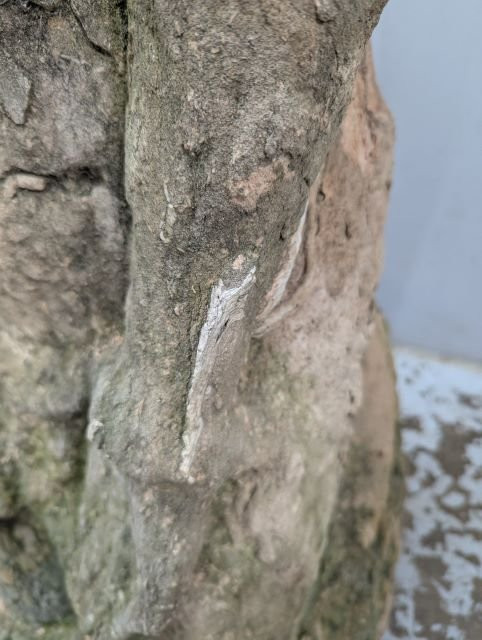 Figure masculine agenouillée – Sculpture expressionniste en pierre XXe siècle-photo-7