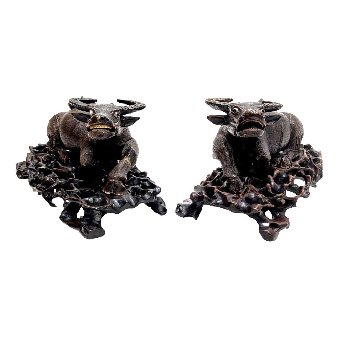 Pair Of Indochinese Cows, 19th Century-photo-2
