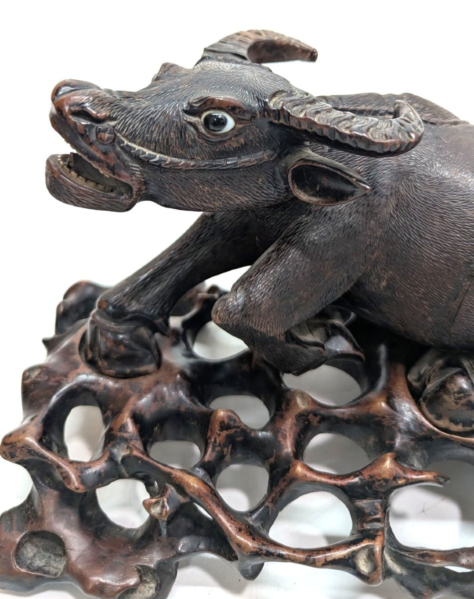 Pair Of Indochinese Cows, 19th Century-photo-2