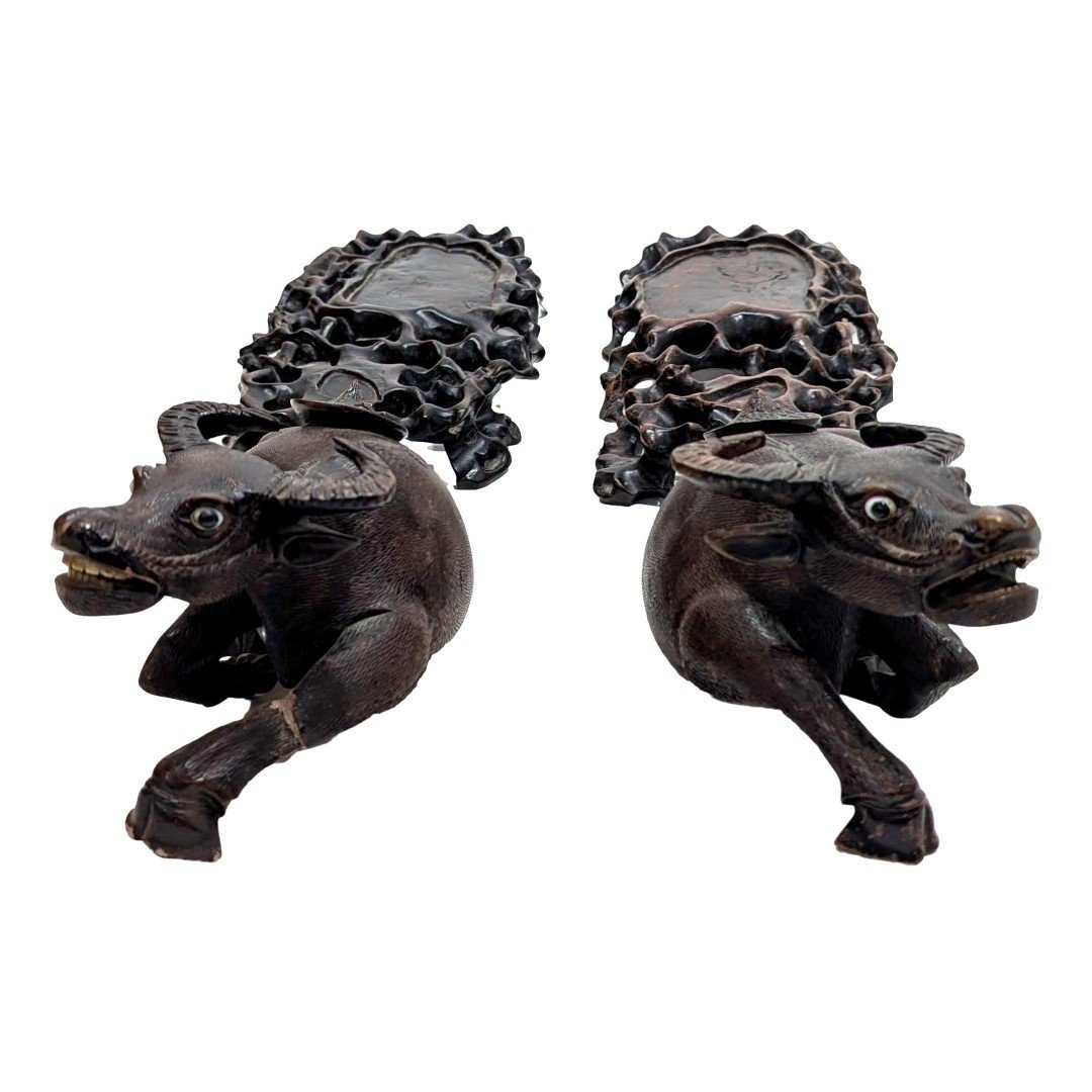Pair Of Indochinese Cows, 19th Century-photo-5