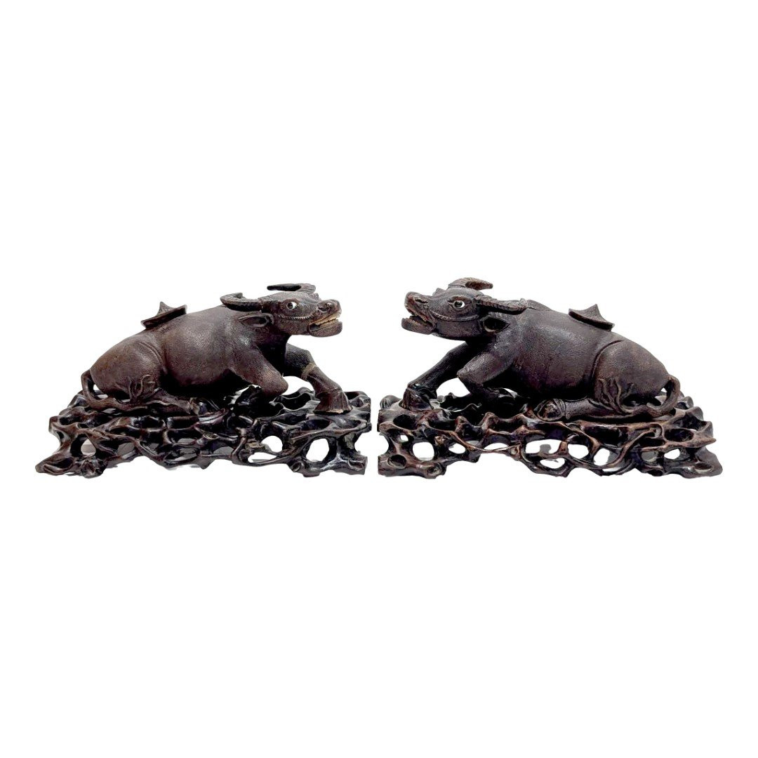 Pair Of Indochinese Cows, 19th Century-photo-6