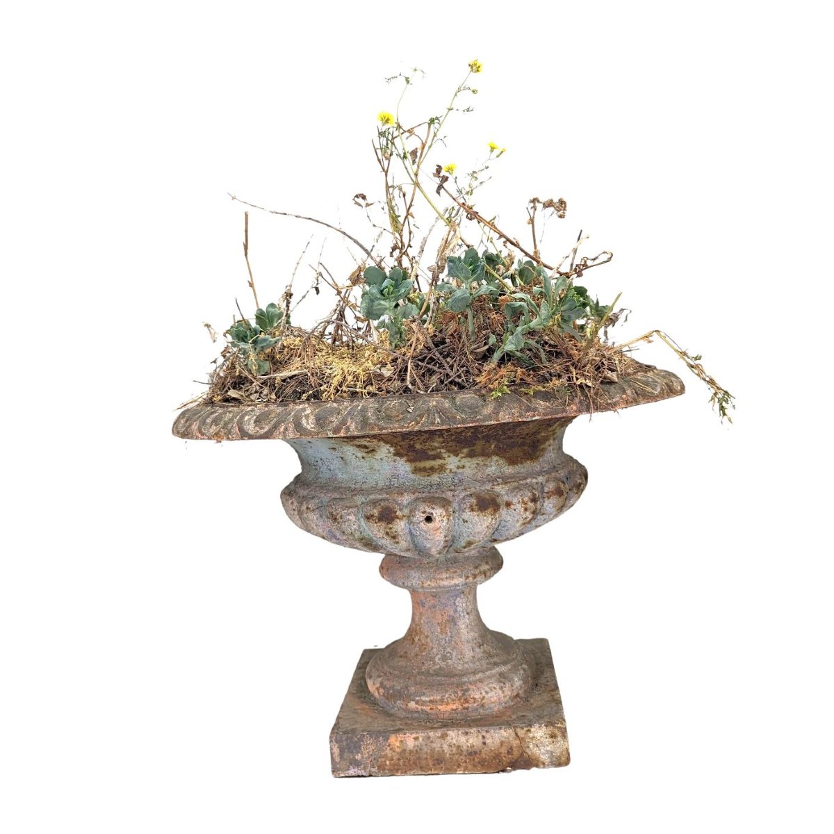 Paire de vases Médicis en fonte de fer époque XIXème-photo-1