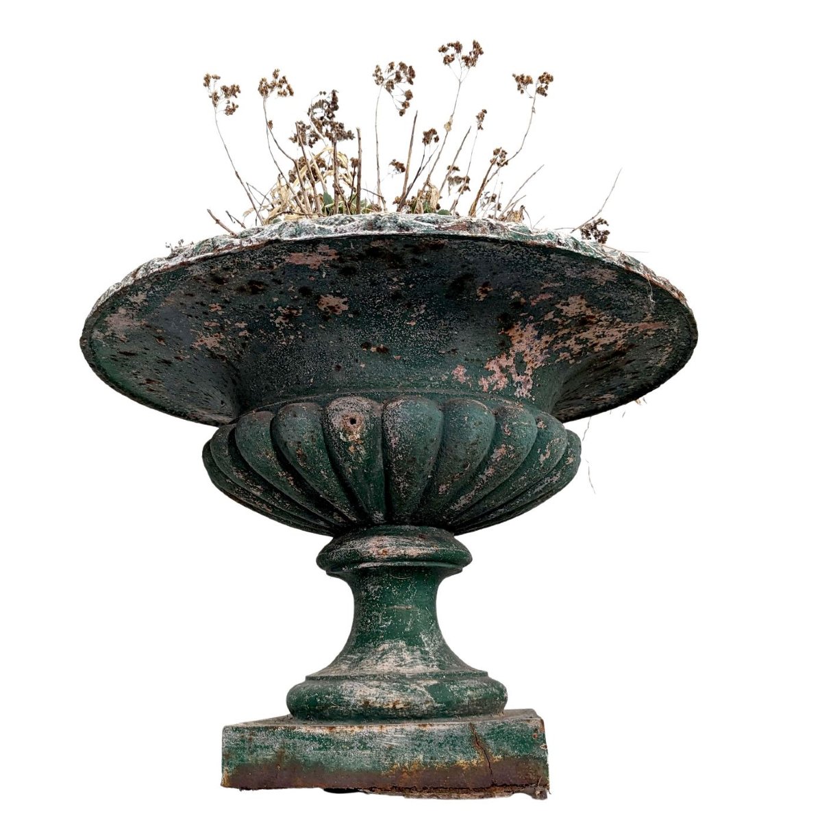 Paire de vases Médicis en fonte de fer époque XIXème-photo-2