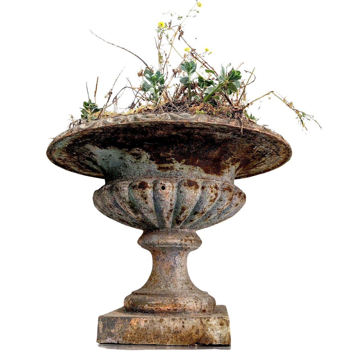 Paire de vases Médicis en fonte de fer époque XIXème-photo-3
