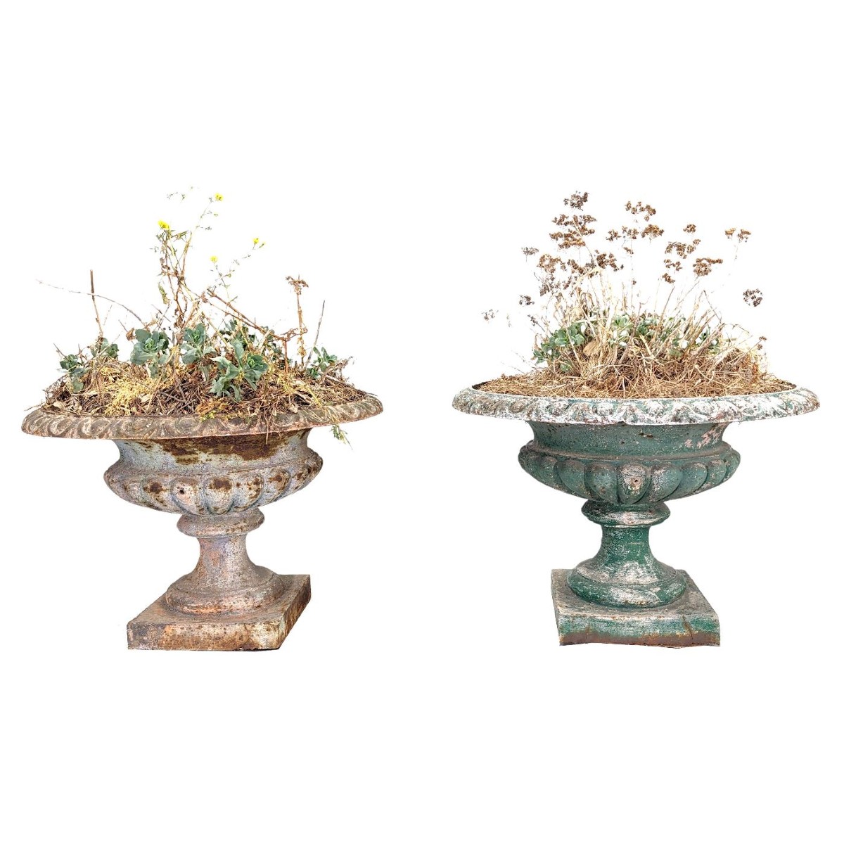 Paire de vases Médicis en fonte de fer époque XIXème