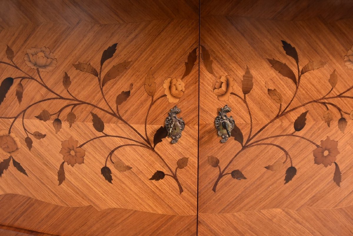 Louis XV Style Birch With Inlaid Door-photo-2