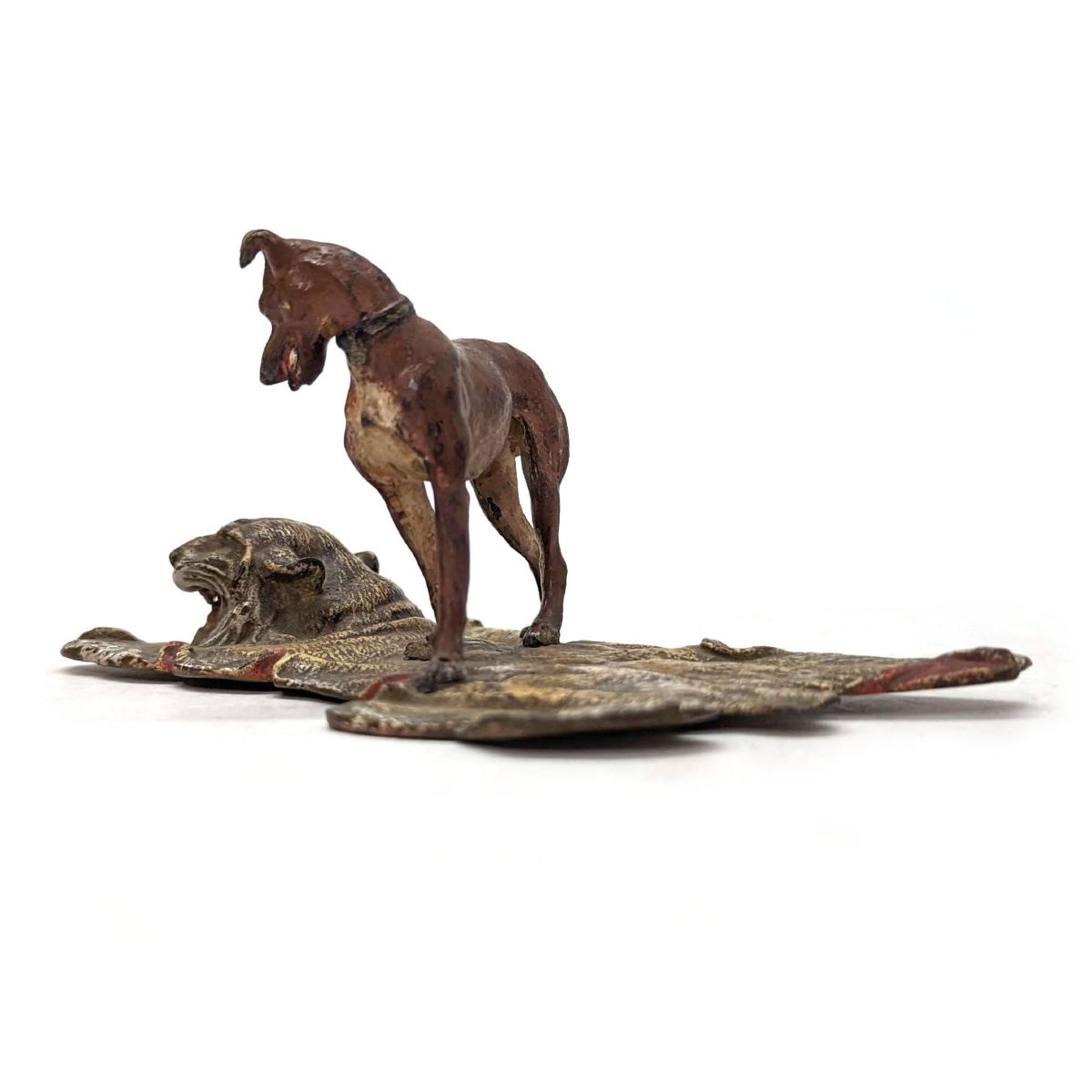 Bronze de Vienne le chien sur la peau de tigre-photo-4