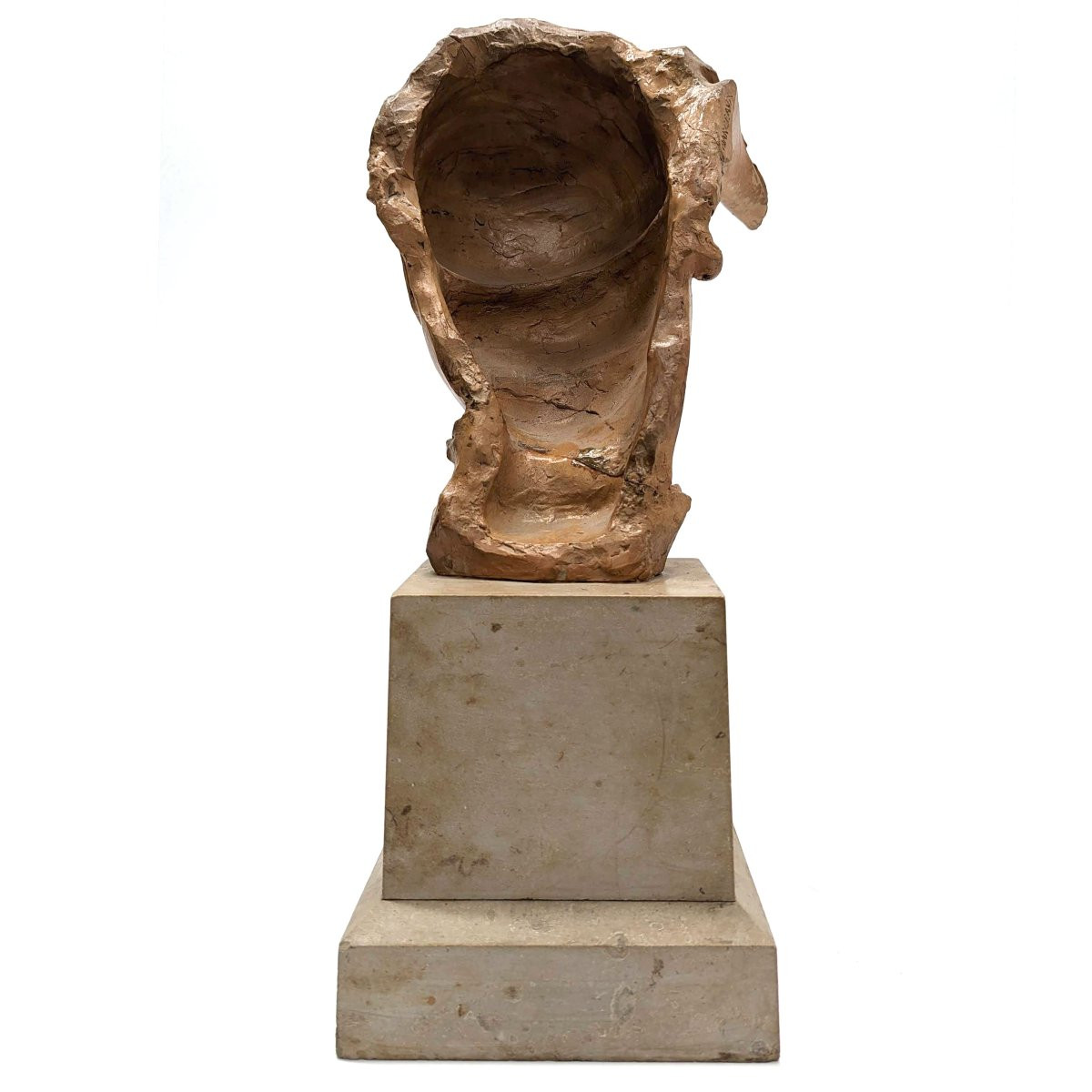 Buste d'arlequin en terre cuite par René Charles de Saint Marceaux-photo-4