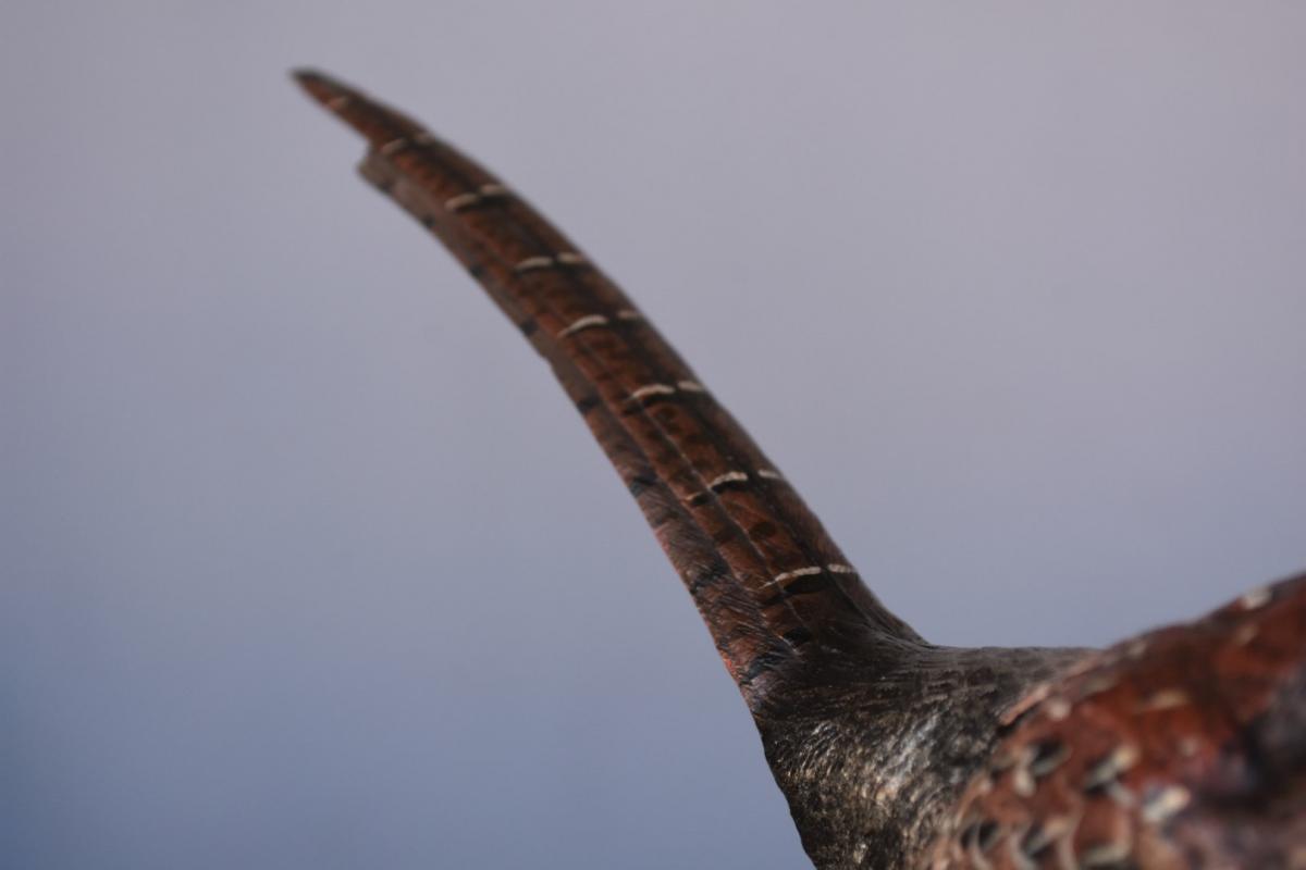 Pheasant In Bronze From Vienna-photo-2