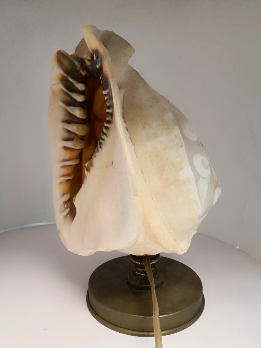 Carved Lamp In A Cameo Shell On Bronze Base-photo-1
