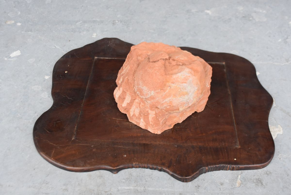 Fossil Dinosaur Egg-photo-2