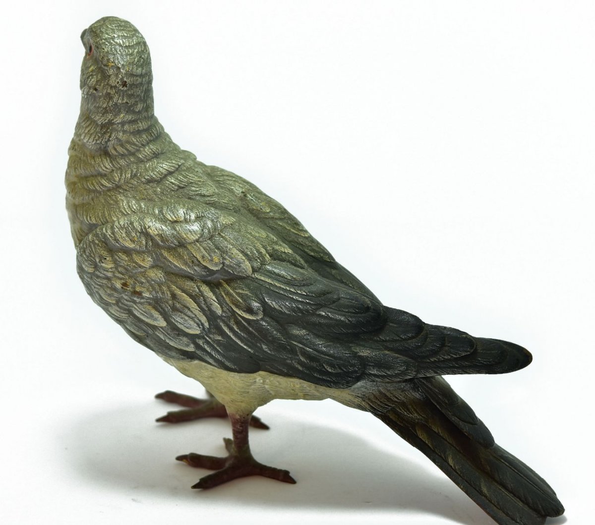 Pigeon Biset Bronze De Vienne taille réelle Geschultz époque XIXème-photo-2