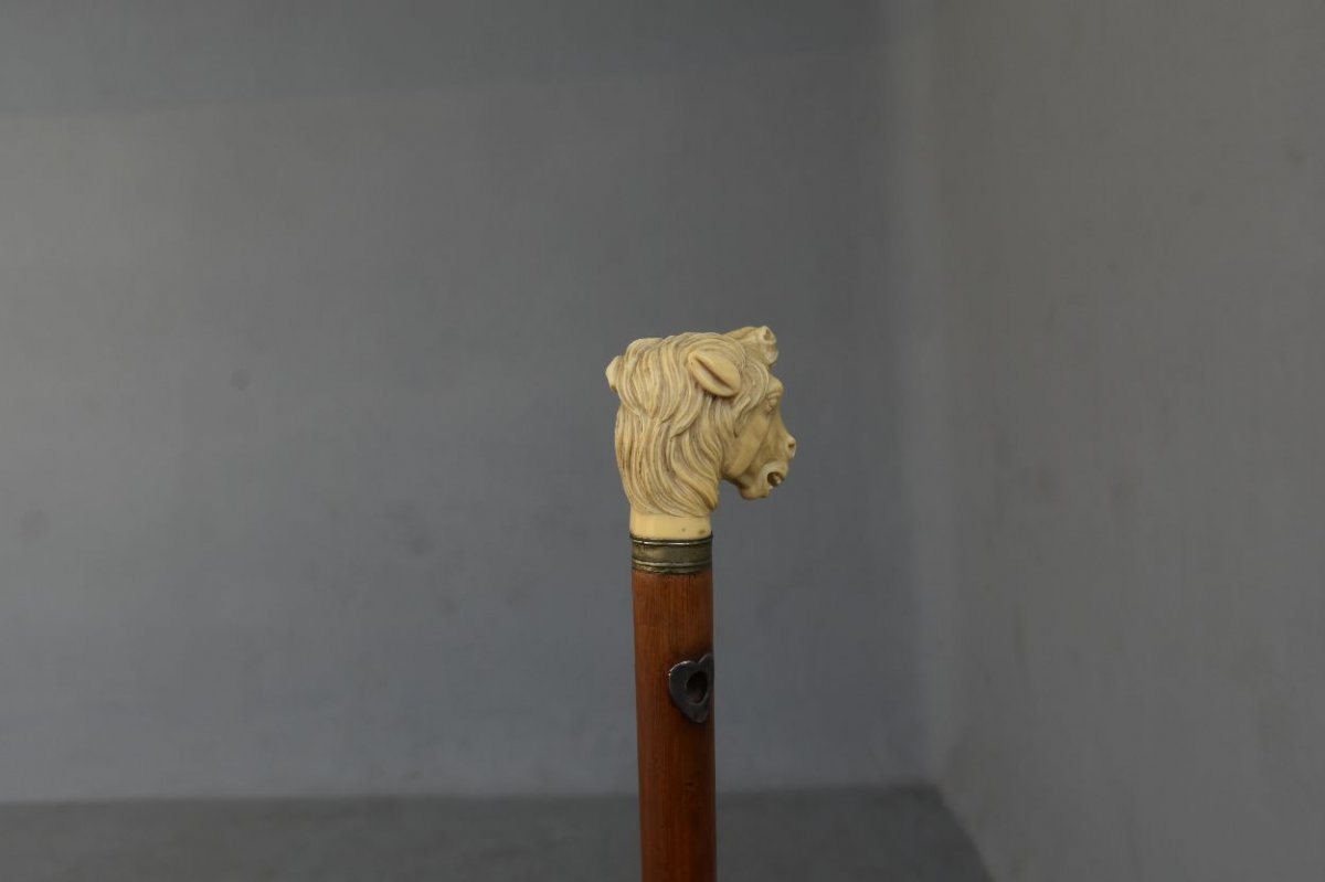 Collection Cane With Horse Heads In Ivory XIXth-photo-4