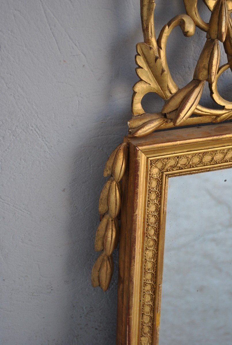 Mirror In Golden Wood Louis XVI XIXth-photo-7