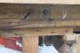 1759449-alb-6a0494f2dec13.jpg