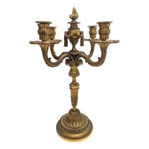 Gilded Bronze Candlestick, Louis XVI Decor