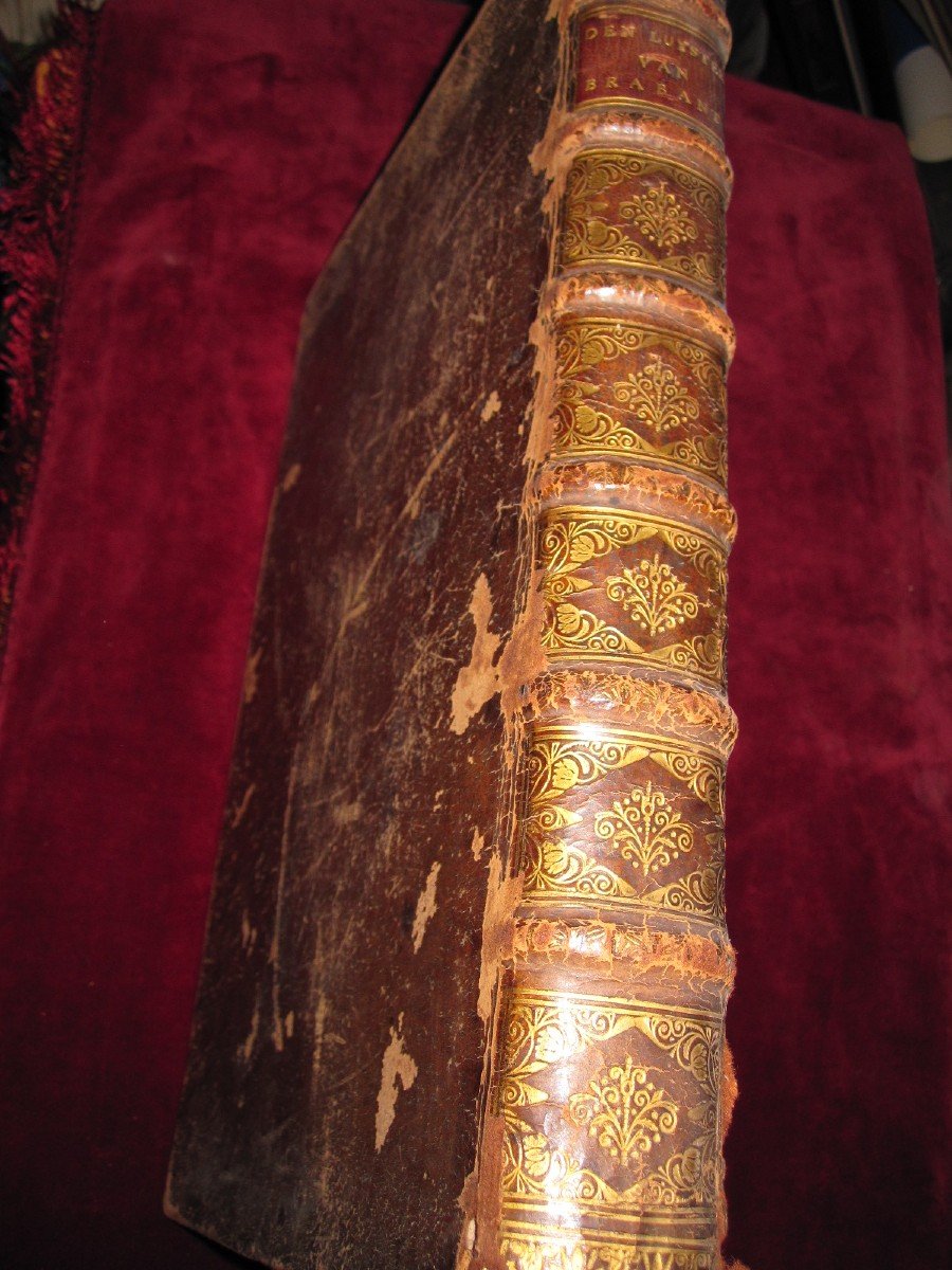 The Treasure Of The Privileges Of The City Of Brussels. 1698. Frontis And Other Beautiful Engravings-photo-6