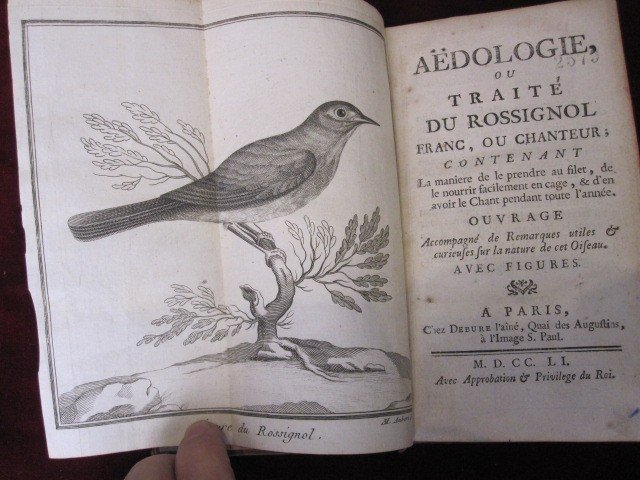 Traité Du Rossignol Franc, Ou Chanteur. Paris 1751-photo-2