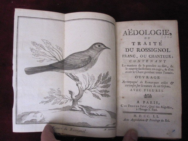 Traité Du Rossignol Franc, Ou Chanteur. Paris 1751