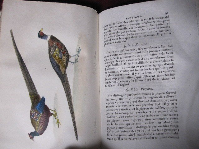 Rustic House Agriculture And Rural Economy. Paris 1818 2 Volumes ​-photo-4