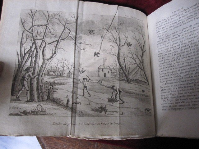 Rustic House Agriculture And Rural Economy. Paris 1818 2 Volumes ​-photo-2