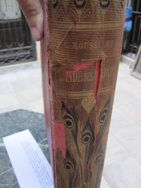 Rousselet. Rajas India. Journey To Central India...1877 Magnificent Illustrations-photo-8