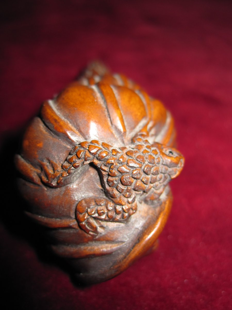 Netsuke En Forme d'Escargot Avec Une Grenouille, En Buis De l'ère Meiji-photo-4
