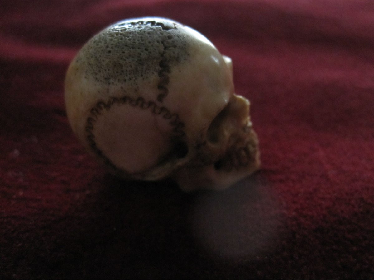 Petit memento mori en os. XIXe siècle-photo-2