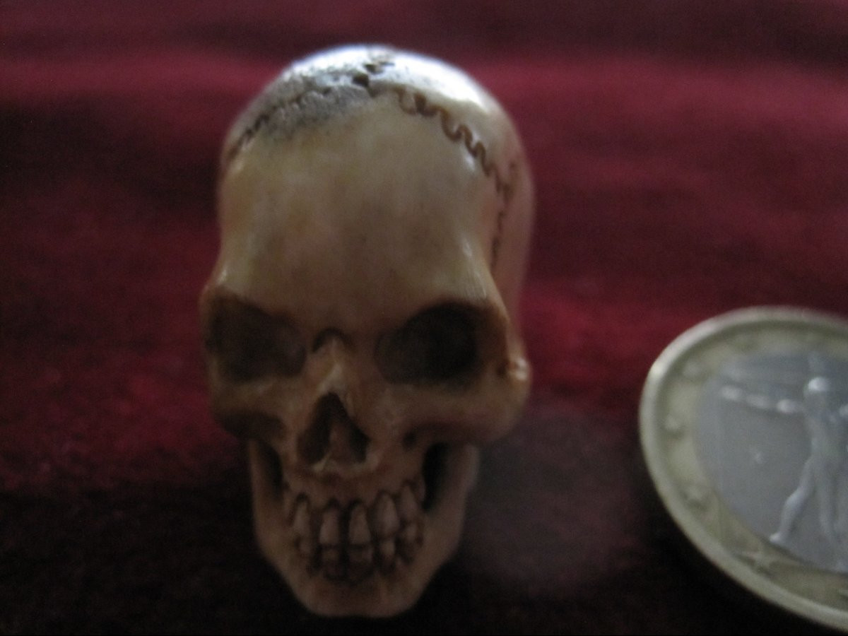 Petit memento mori en os. XIXe siècle-photo-6