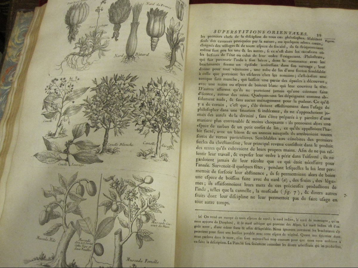 Esotericism, Book: Oriental Superstitions. Paris, 1785. Folio With Numerous Engravings-photo-1