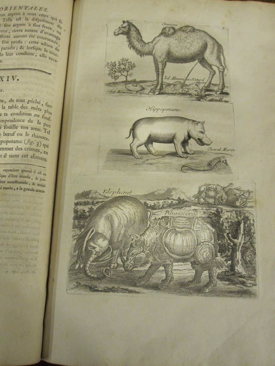 Esotericism, Book: Oriental Superstitions. Paris, 1785. Folio With Numerous Engravings-photo-3
