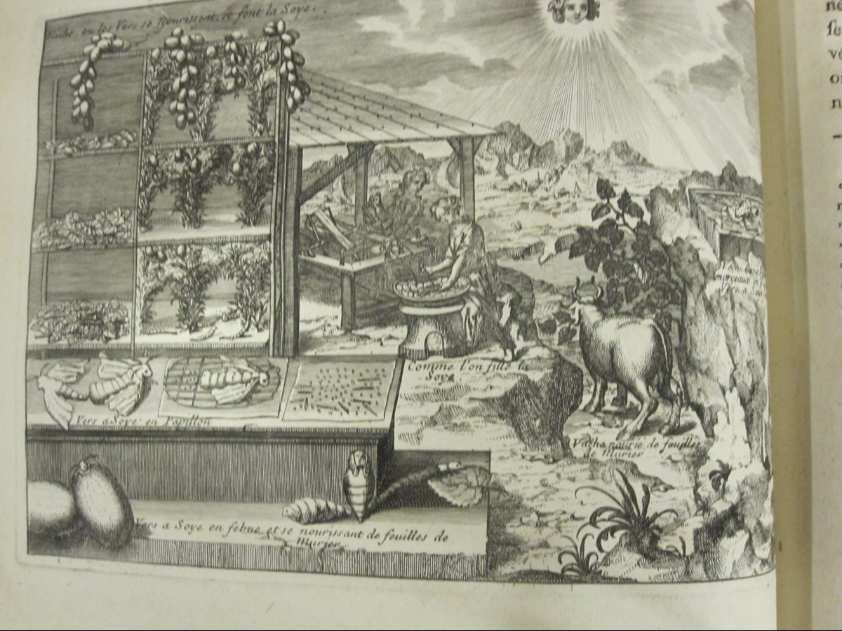 Esotericism, Book: Oriental Superstitions. Paris, 1785. Folio With Numerous Engravings-photo-5