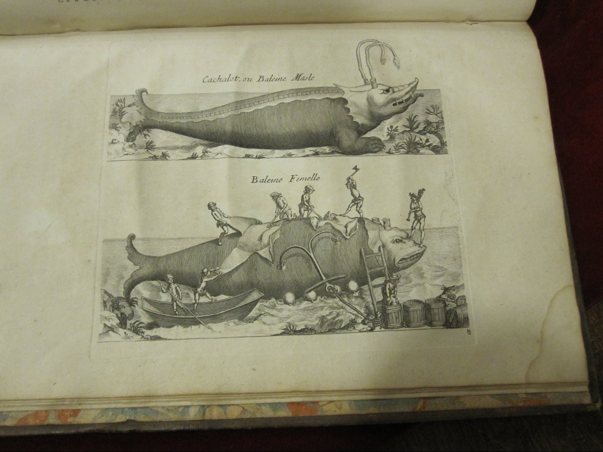 Esotericism, Book: Oriental Superstitions. Paris, 1785. Folio With Numerous Engravings-photo-8