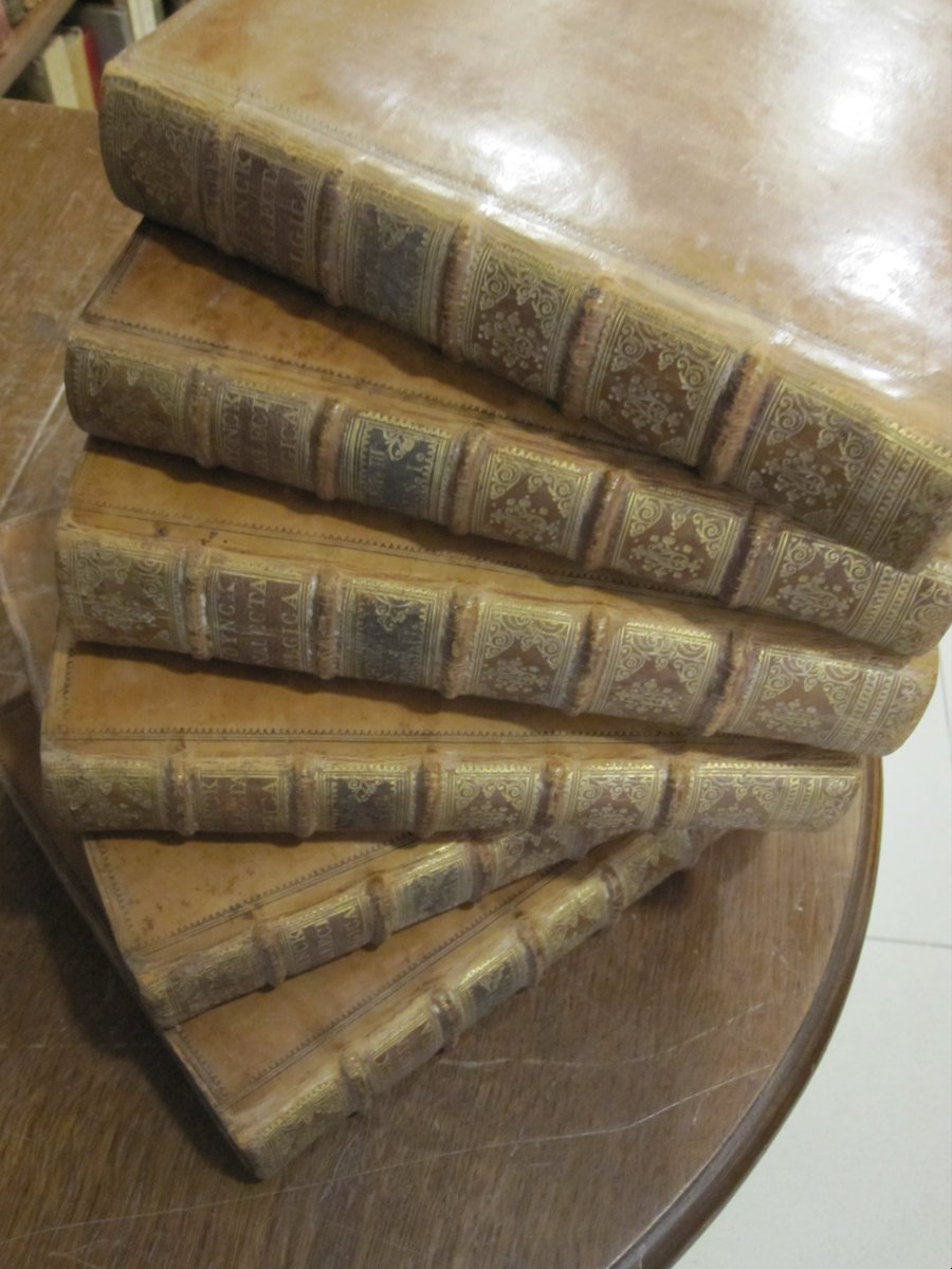 Analecta Belgica. Vita Viglii ab Ayta Zuihemi. 6 volumes magnifiquement reliés-photo-2