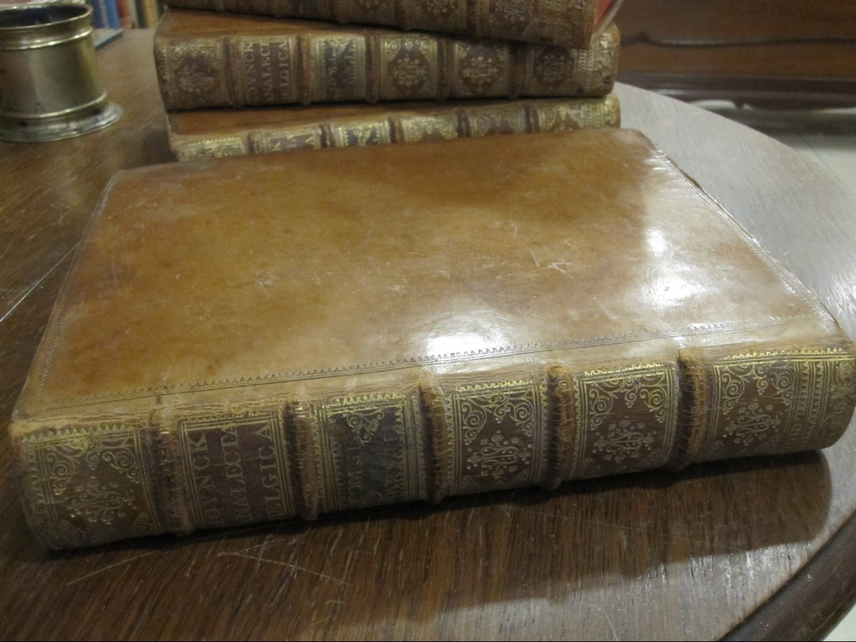 Analecta Belgica. Vita Viglii ab Ayta Zuihemi. 6 volumes magnifiquement reliés-photo-3