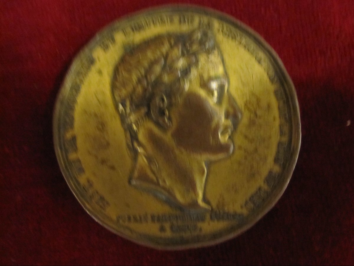 Commemorative Medal In Gilded Copper Depicting The History Of France. Bust Of Napoleon. 183-photo-3